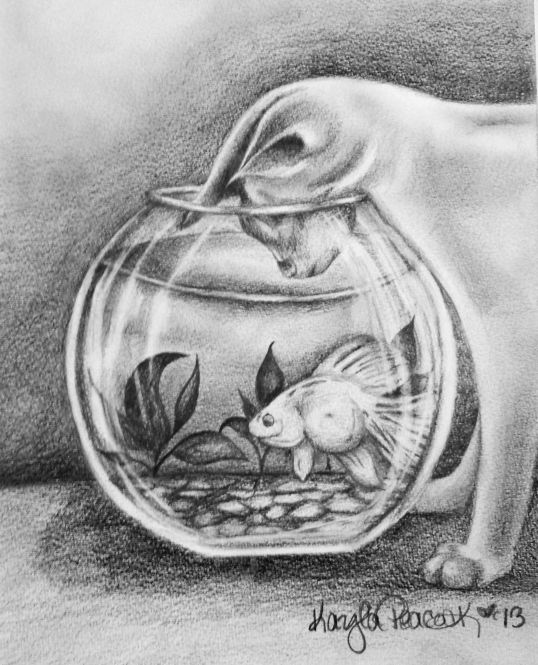 Fish Bowl Sketch at PaintingValley.com | Explore collection of Fish ...