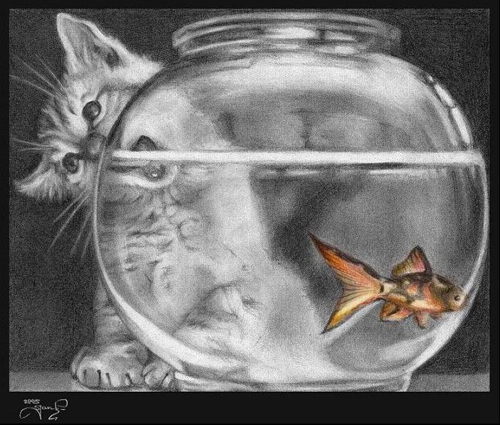 703x598 Temptation In The Fish Bowl By ~snow Owl - Fish Bowl Sketch