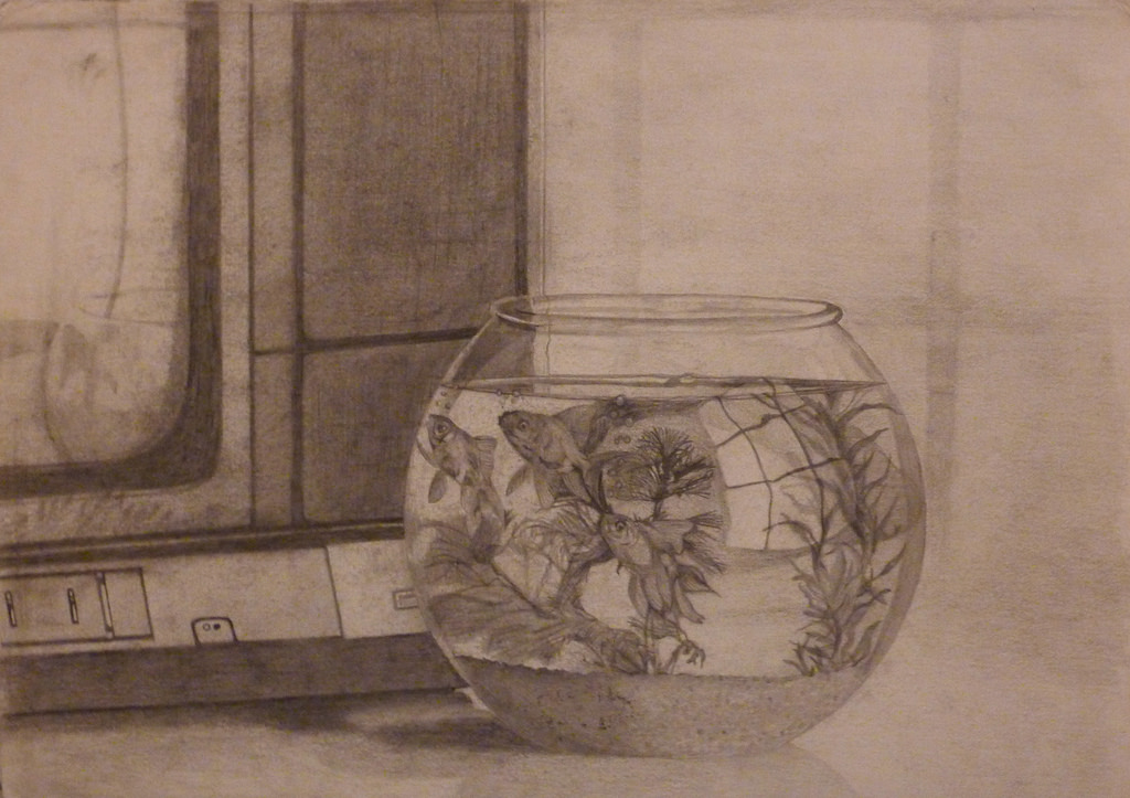 1024x723 Fish Bowl Pencil Drawing - Fish Bowl Sketch