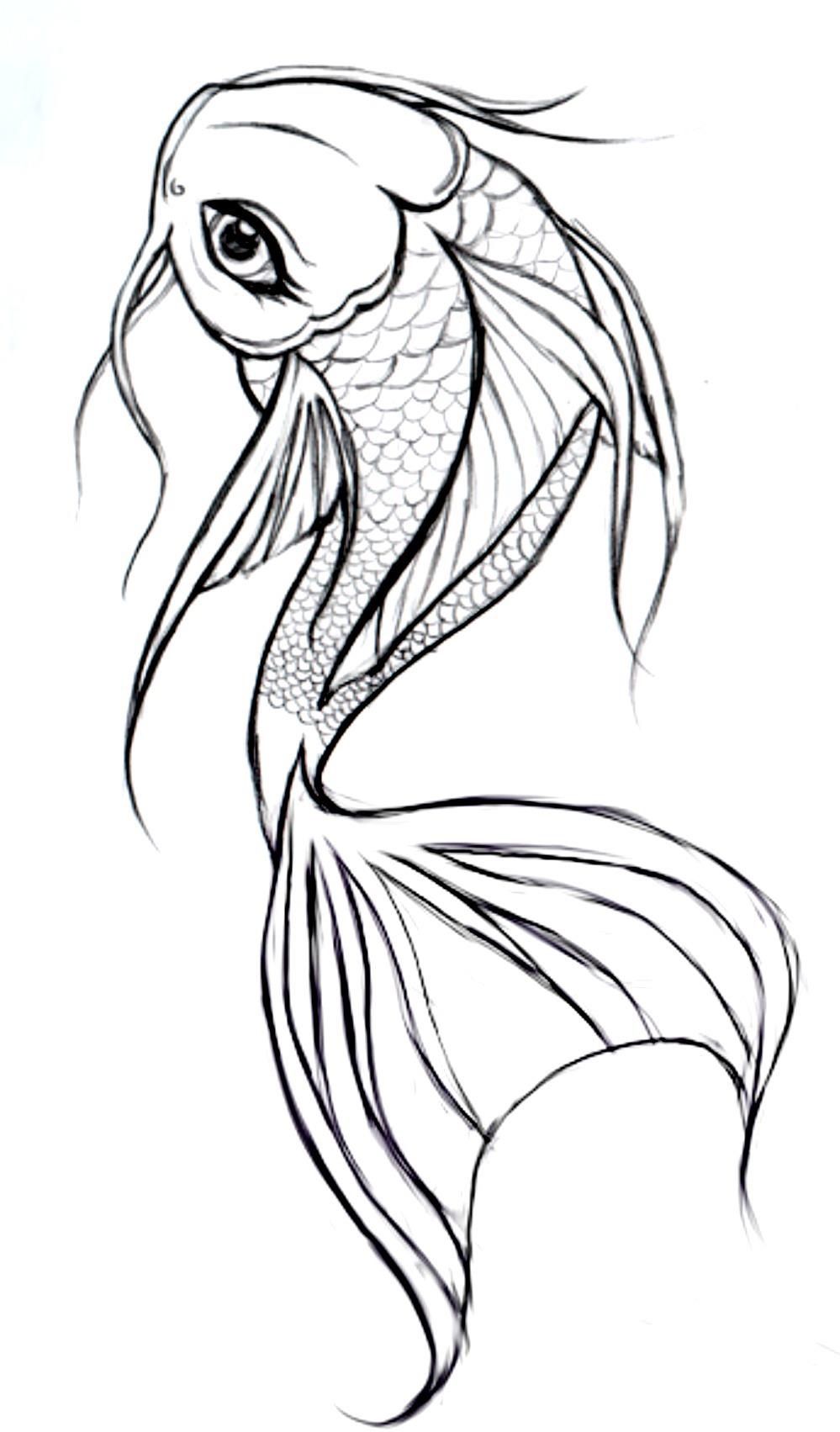 999x1703 Pin By Cally Prince On (Miscellaneous Madness!) - Fish Head Sketch