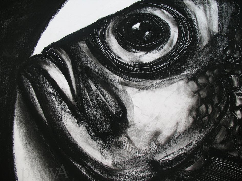 945x709 The Plum Tree Good Morning Fish Head - Fish Head Sketch