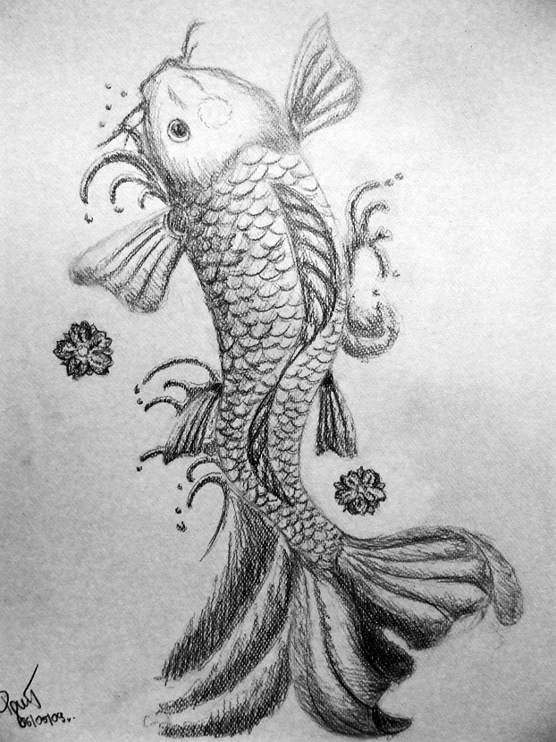 Betta Fish Sketch at PaintingValley.com | Explore collection of Betta ...