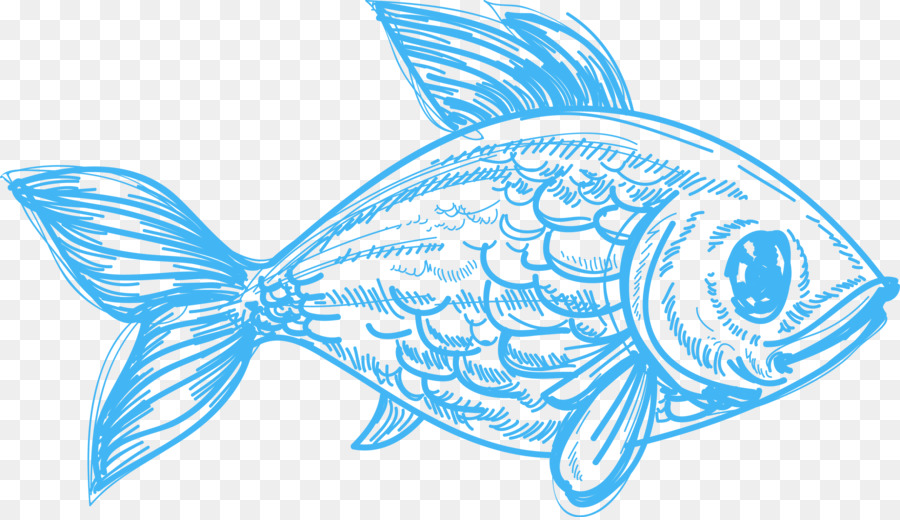 900x520 Drawing Deep Sea Creature Pencil Sketch - Fish Pencil Sketch