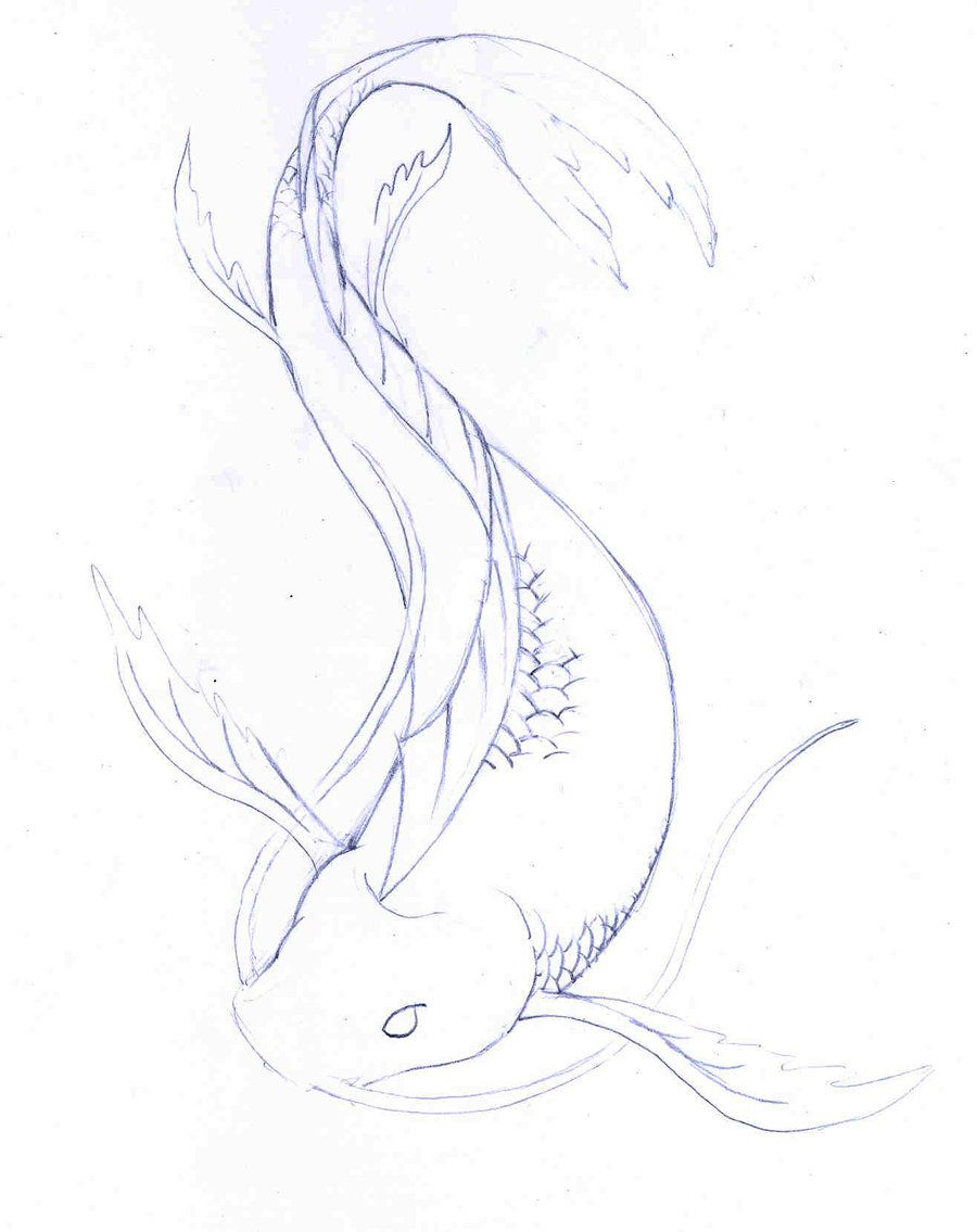 900x1135 Drawing In Pencil Sketch Koi Fish Drawings In Pencil - Fish Pencil Sketch