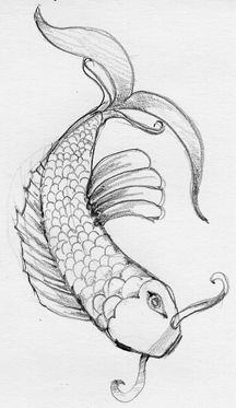 216x373 Drawn Koi Pretty Fish - Fish Pencil Sketch