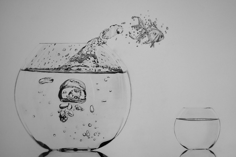 900x600 Paul Stowe - Fish Pencil Sketch