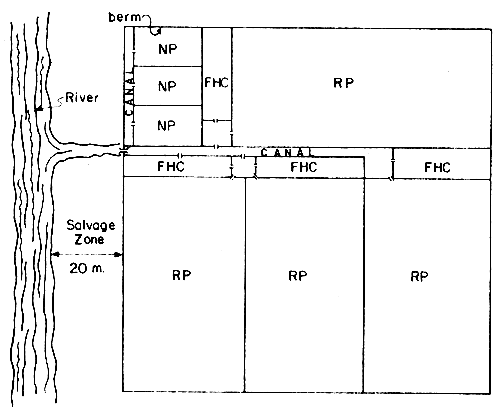 500x411 Fishpond Engineering A Technical Manual For Small And Medium - Fish Pond Sketch
