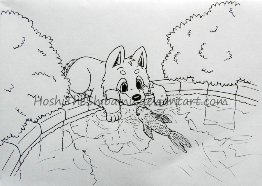 900x637 Fish Pond Lined Sketch By Hoshitheshibainu - Fish Pond Sketch