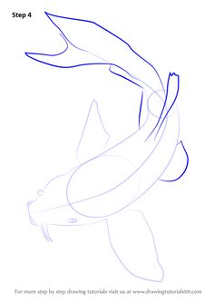 236x333 Koi Fish Belongs Tot He C. Carpio Specie. In This Tutorial, We - Fish Pond Sketch