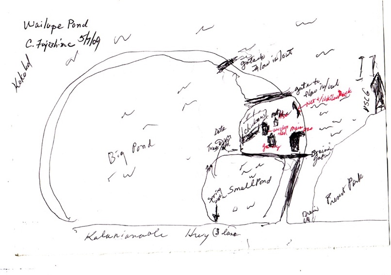 806x567 Wailupe Fishpond Remembrances Carolyn Fujishima - Fish Pond Sketch