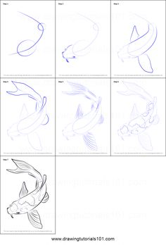 236x348 Koi Fish Drawings In Pencil - Fish Pond Sketch