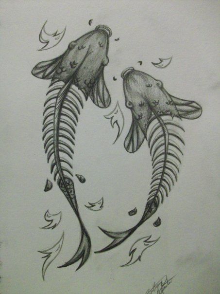 453x604 Collection Of Koi Fish Skeleton Drawing High Quality, Free - Fish Skeleton Sketch