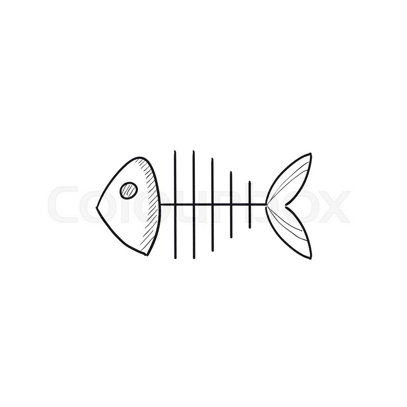 800x800 Fish Skeleton Vector Sketch Icon Isolated On Background. Hand - Fish Skeleton Sketch