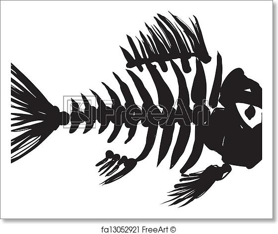 560x470 Free Art Print Of Fish Skeleton. Primitive, Rough Image Of Fish - Fish Skeleton Sketch