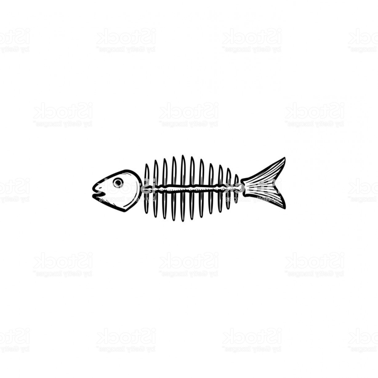1228x1228 Rotten Fish Skeleton With Bones Drawn Sketch Icon Gm Geekchicpro - Fish Skeleton Sketch