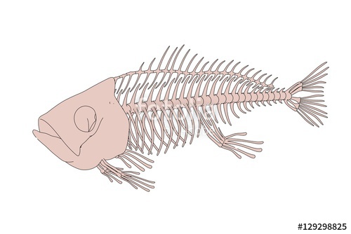 500x334 2d Cartoon Illustration Of Fish Skeleton Stock Photo And Royalty - Fish Skeleton Sketch