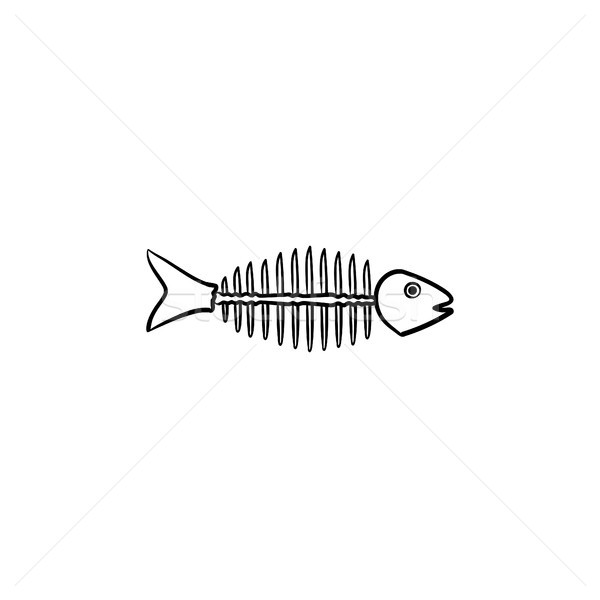600x600 Rotten Fish Skeleton With Bones Drawn Sketch Icon. Vector - Fish Skeleton Sketch