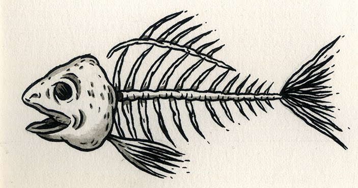 703x369 Scritchy Pictures Fish Skeleton - Fish Skeleton Sketch