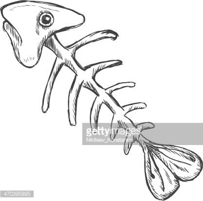 416x413 Vector Sketch Illustration Fish Skeleton Premium Clipart - Fish Skeleton Sketch