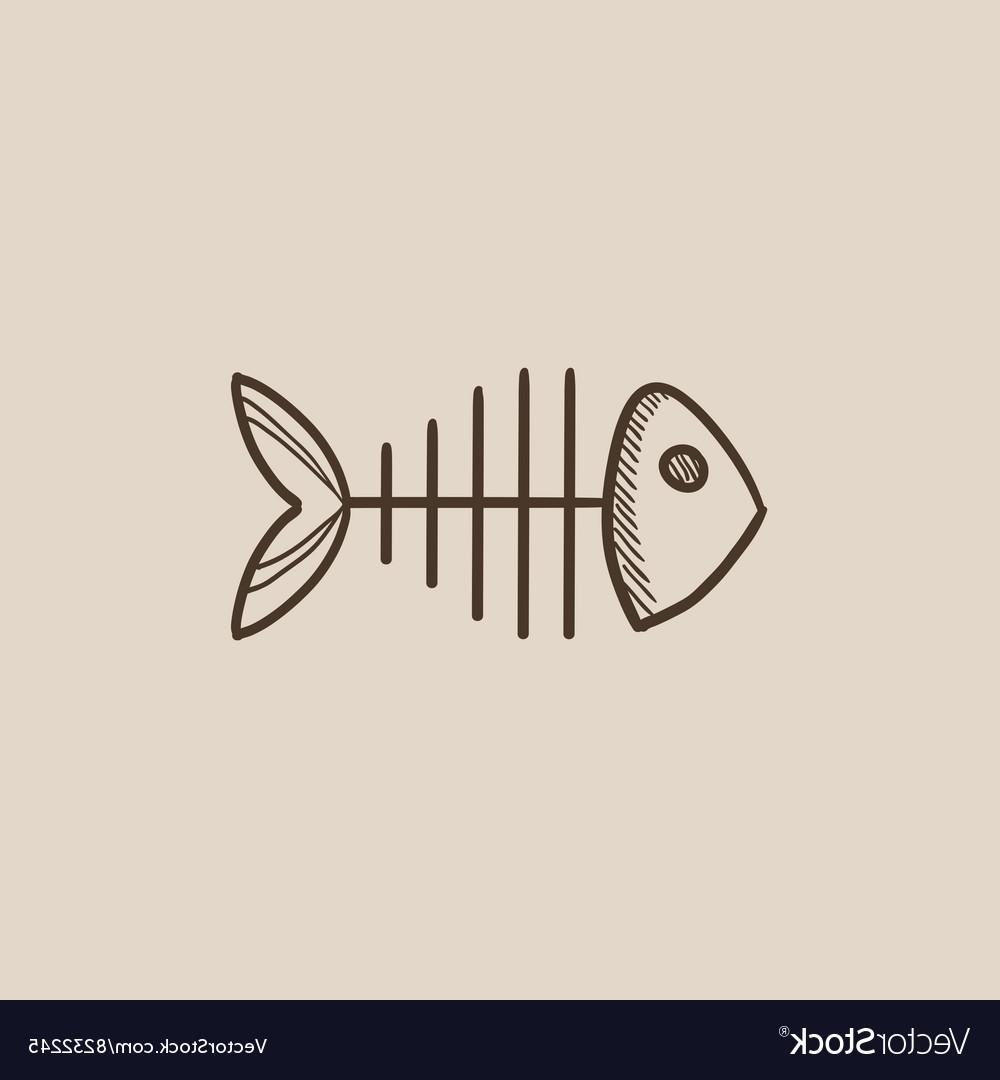 1000x1080 Best 15 Fish Skeleton Sketch Icon Vector Design - Fish Skeleton Sketch
