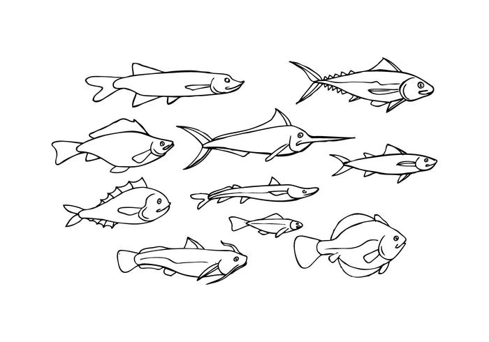 700x490 Free Fish Sketch Icon Vector - Fish Sketch