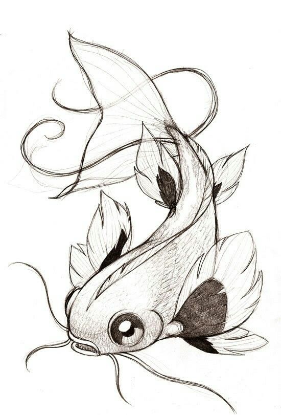 550x811 Pin By Esther On Faire Part - Fish Sketch Drawings