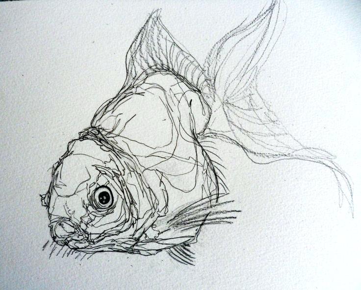 736x592 Fish Sketch Lets Learn How To Draw A Picasso Creekmore - Fish Sketch Drawings