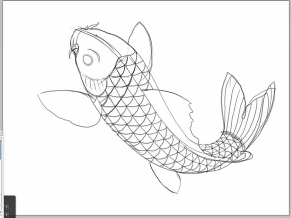 960x720 Drawn Koi Real Fish - Fish Sketch For Kids