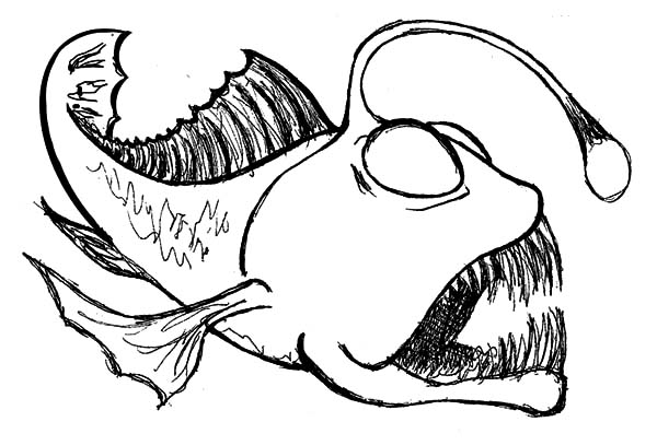 Fish Sketch Images