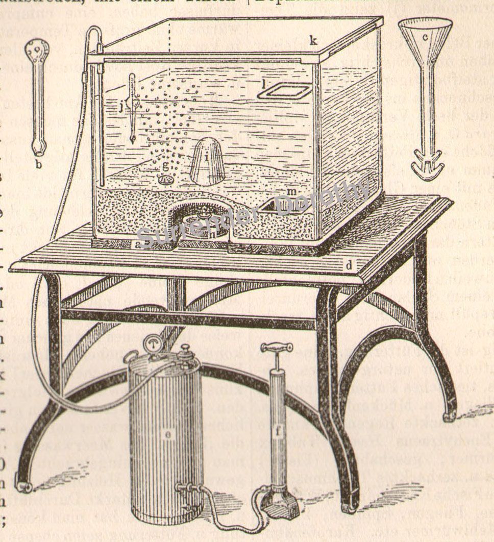 968x1062 Fish Tank Set Up Drawing Vintage Illustration Fish - Fish Tank Sketch