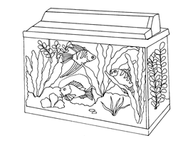 Fish Tank Sketch At Paintingvalley.com 