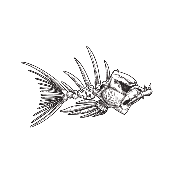 600x600 Printed Vinyl Fishbone Sketch Stickers Factory - Fishbone Sketch