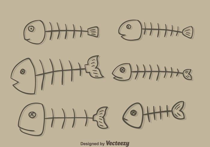 700x490 Sketch Fishbone Collection Vector - Fishbone Sketch