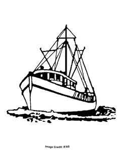 236x299 The 178 Best Boat Images In 2018 Pencil Drawings - Fishing Boat Sketch