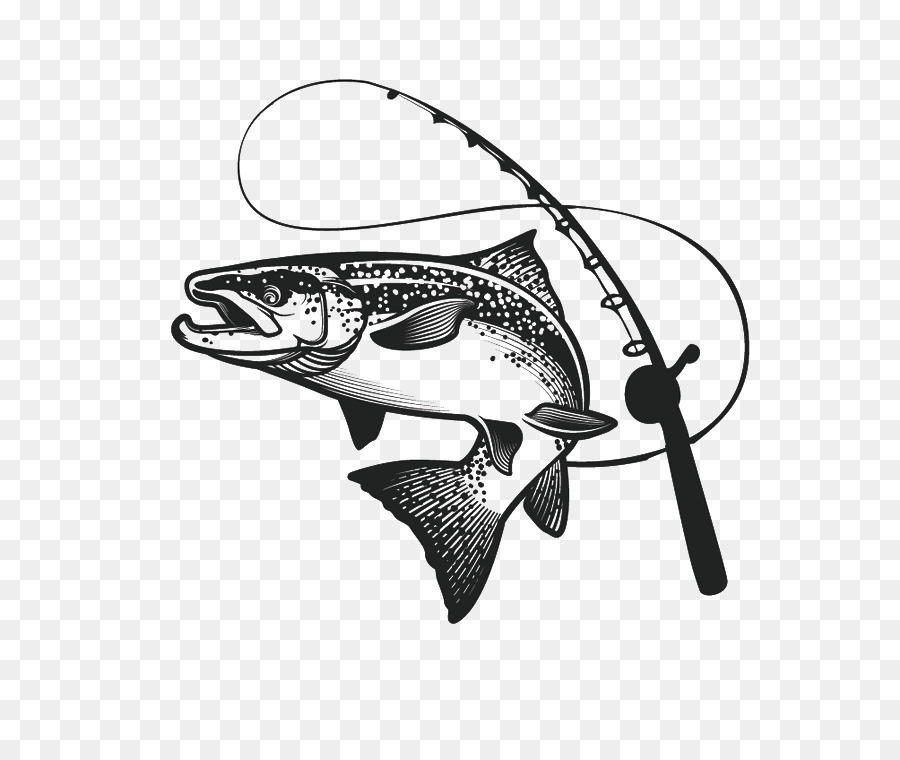 900x760 Fly Fishing Angling Fishing Lure - Fishing Lure Sketch