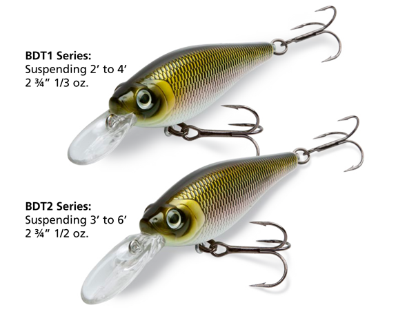 590x468 Lure Sketch - Fishing Lure Sketch