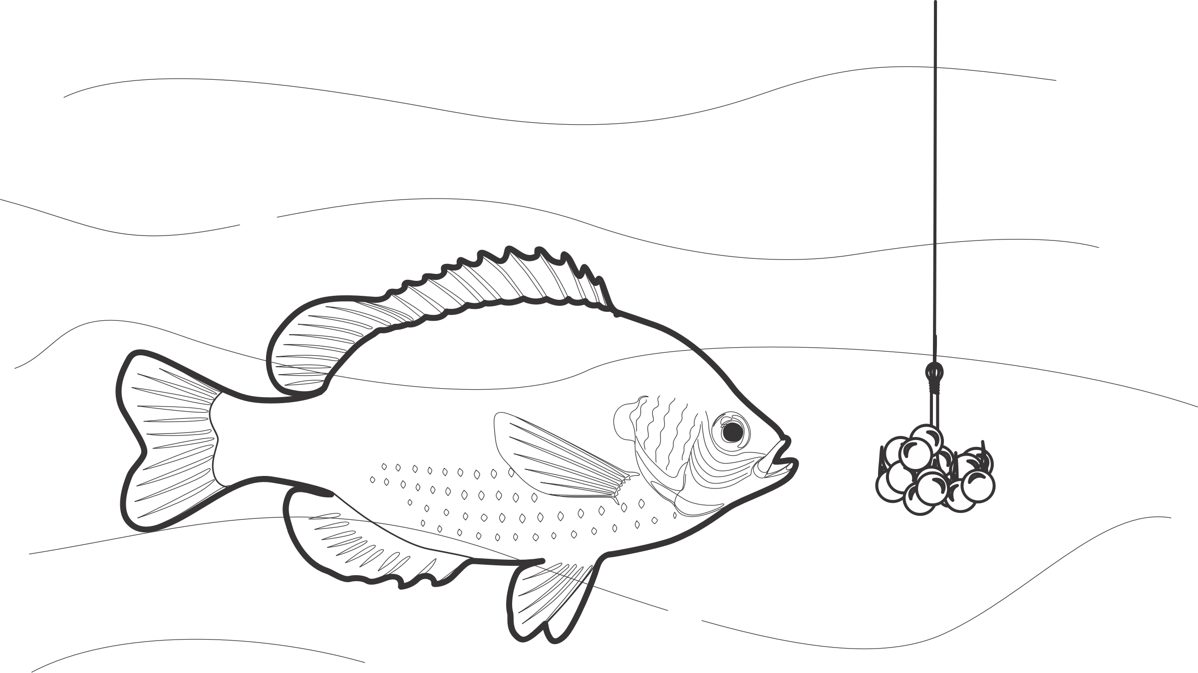 2400x1349 Collection Of Free Trout Drawing Fisherman. Download On Ubisafe - Fishing Lure Sketch