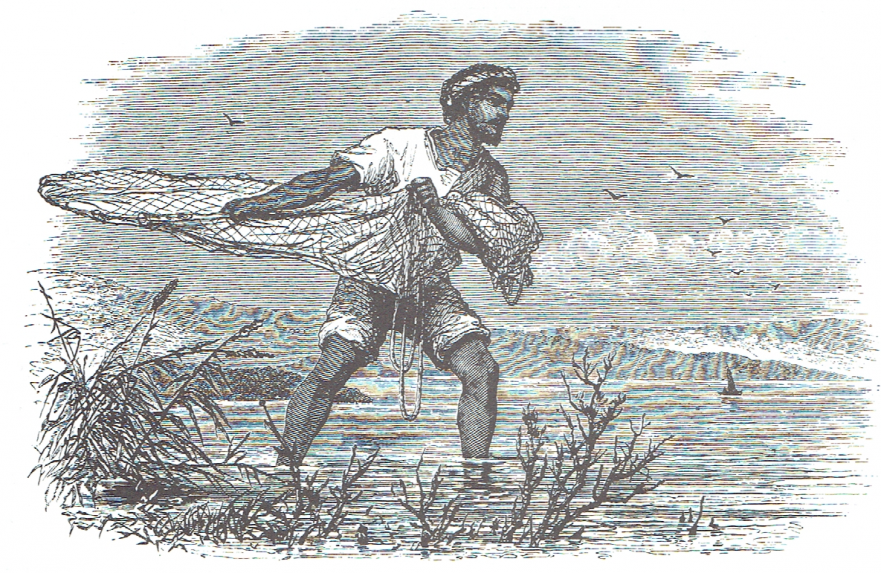 881x573 Let Down Your Online - Fishing Net Sketch