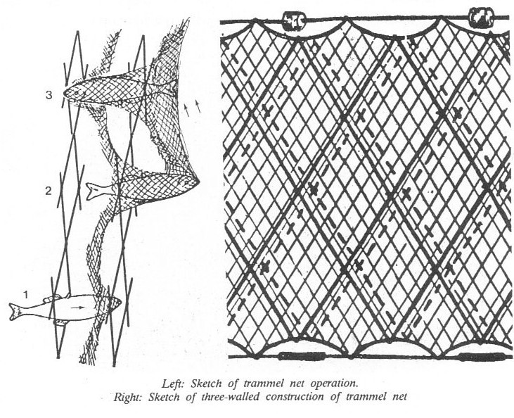 731x594 The Wiki Bible Project Fishing In The Bible And The Ancient Near - Fishing Net Sketch