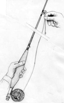 256x412 Putting It All Together To Go Fishing Neophyte Fly Fishing Basics - Fishing Rod Sketch