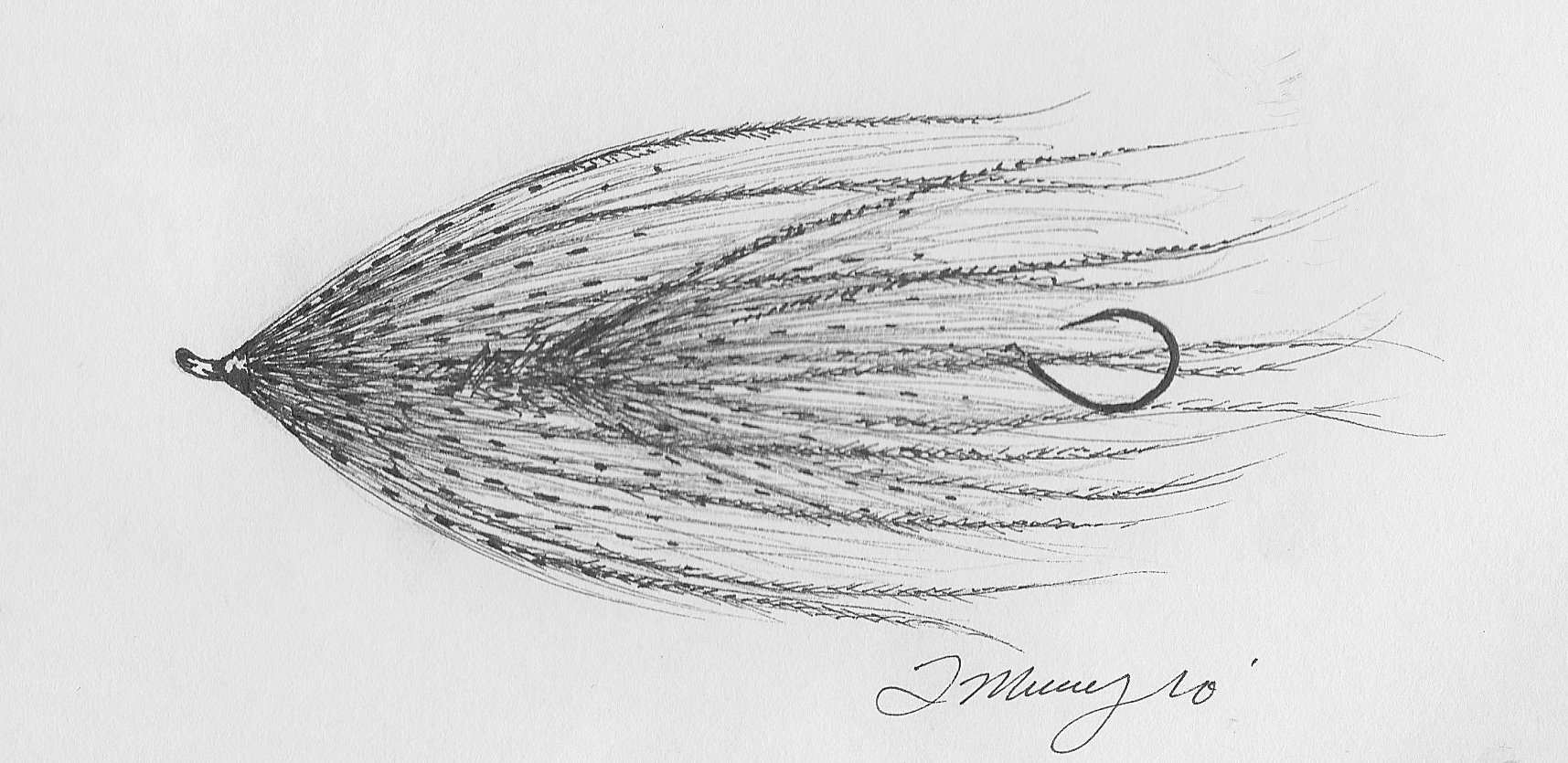 1715x835 Steelhead Swittersb Amp Exploring - Fishing Rod Sketch