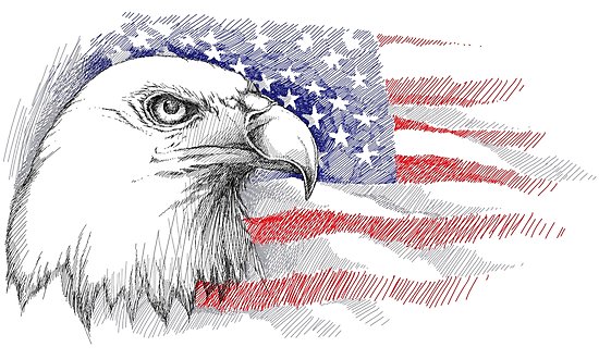 550x330 Sketch Of Bald Eagle Head On The Background With American Flag - Flag Sketch