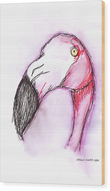 357x618 Flamingo Sketch Drawing Drawing By Shawn Smith - Flamingo Sketch