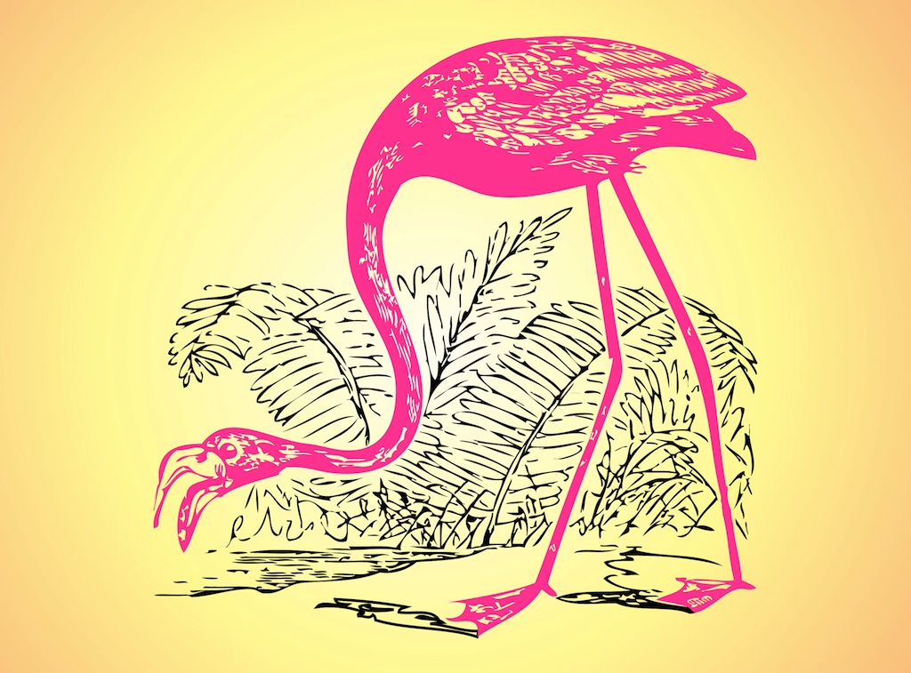 1024x757 Flamingo Sketch Vector Art Amp Graphics - Flamingo Sketch
