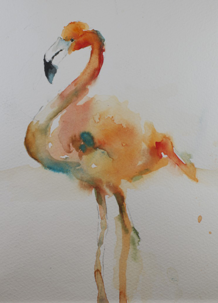 743x1032 Sue Churchgrant Daily Painting Watery Flamingo Sketch - Flamingo Sketch