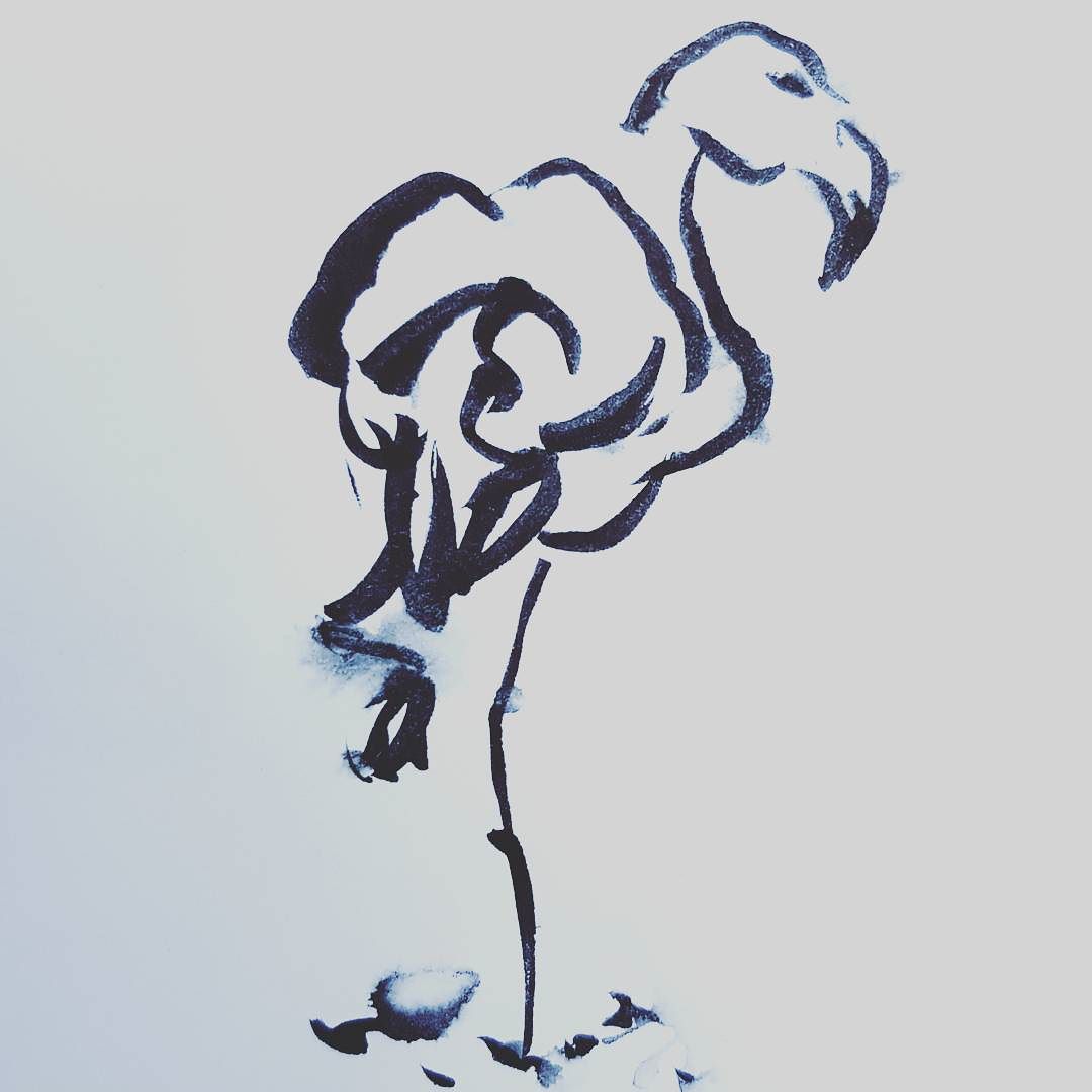 1080x1080 Flamingo - Flamingo Sketch