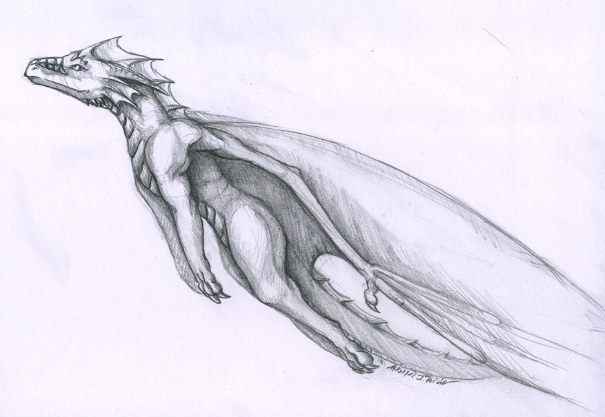 877x605 Flight Sketch Pencil By Thalathis - Flight Sketch