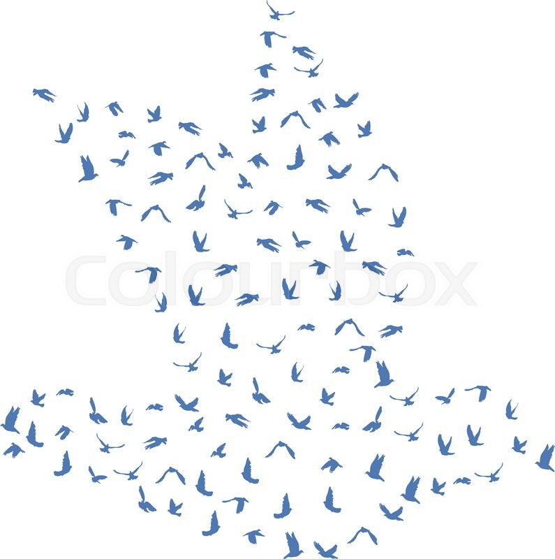 795x800 Doves And Pigeons Set For Peace Concept And Wedding Design. Flying - Flock Of Birds Sketch