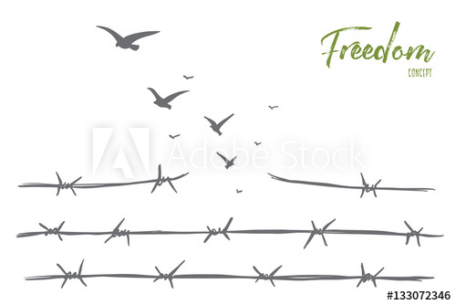 500x334 Vector Hand Drawn Freedom Concept Sketch With Broken Barbed Wire - Flock Of Birds Sketch
