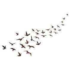 236x236 Flock Of Birds Rustic - Flock Of Birds Sketch